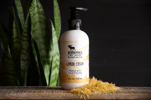 Lemon Cream Hand & Body Lotion